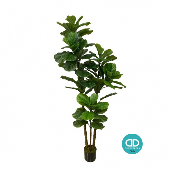 Fiddle Fig Artificial 160 cm