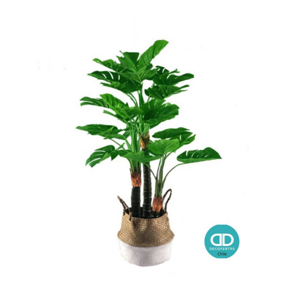 Montsera Articifial 125 cm