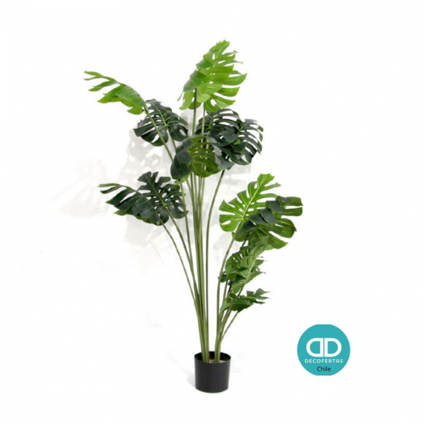 Montsera Artificial 130 cm