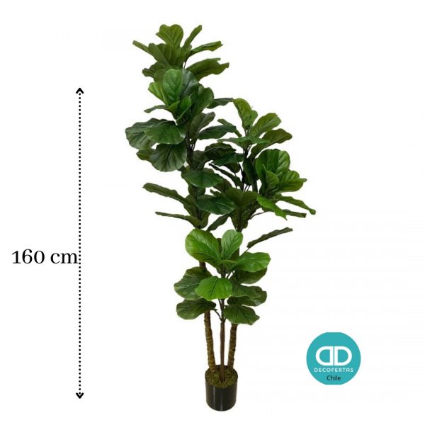 Fiddle Fig Artificial 160 cm - Imagen 2