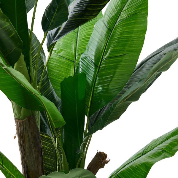 Banano artificial - Imagen 3