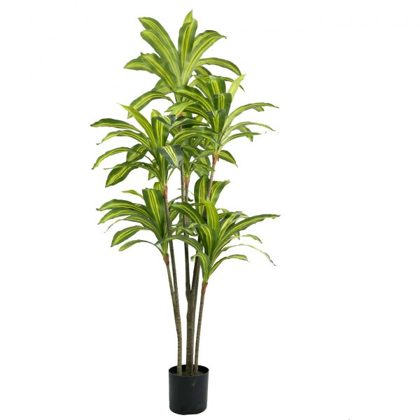 Dracaena artificial