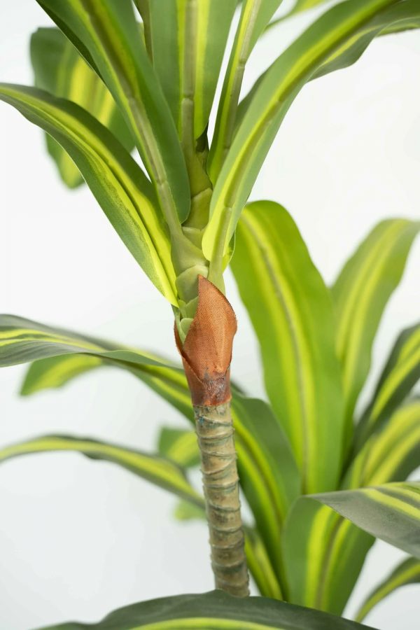 Dracaena artificial - Imagen 3