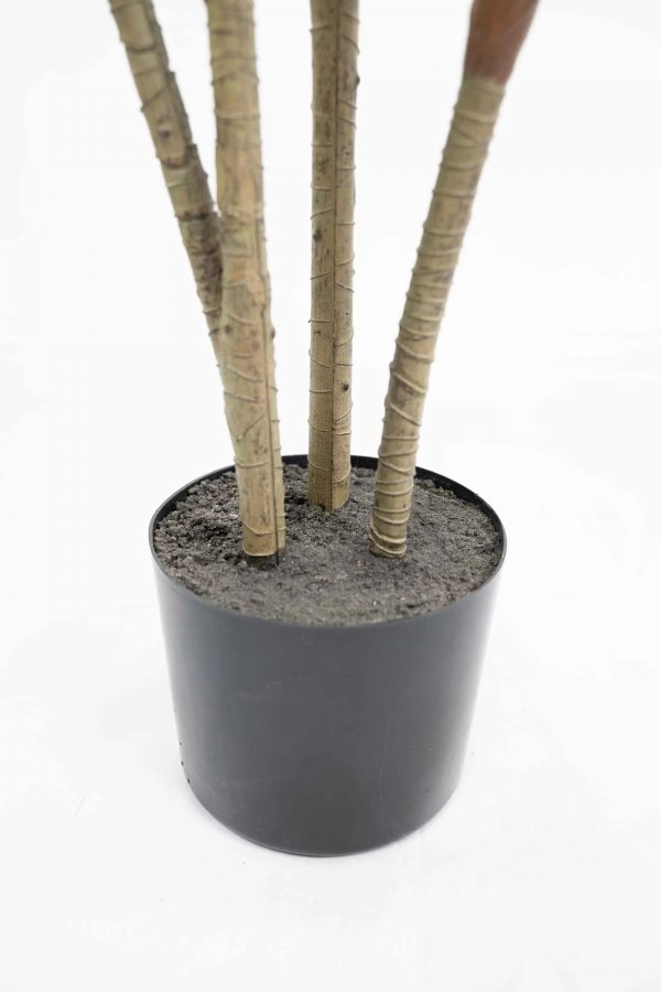 Dracaena artificial - Imagen 5