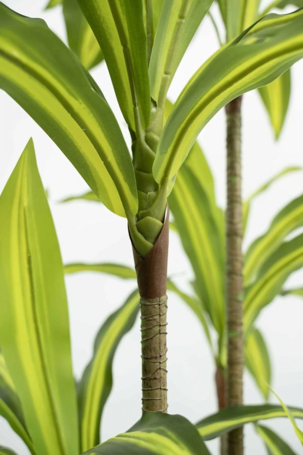 Dracaena artificial - Imagen 4