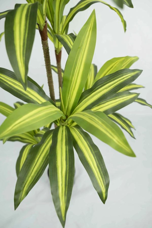 Dracaena artificial - Imagen 2