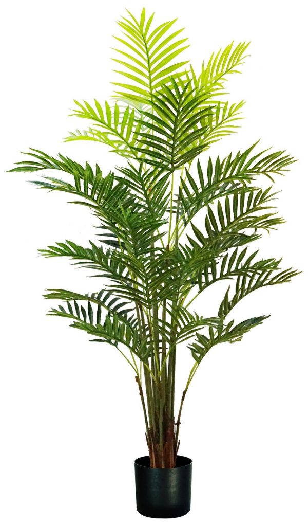 Palmera  150 cm