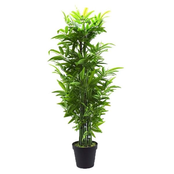Bambú 100 cm